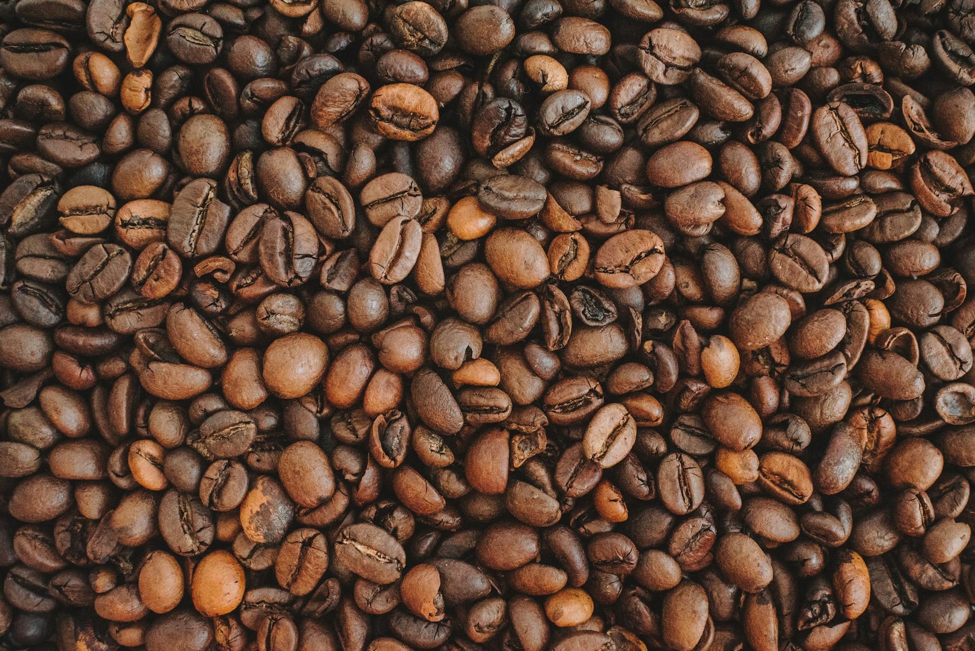 A deep even layer of roasted coffee beans seen from directly above, showing the split centre cut and variation in roast colour between beans.