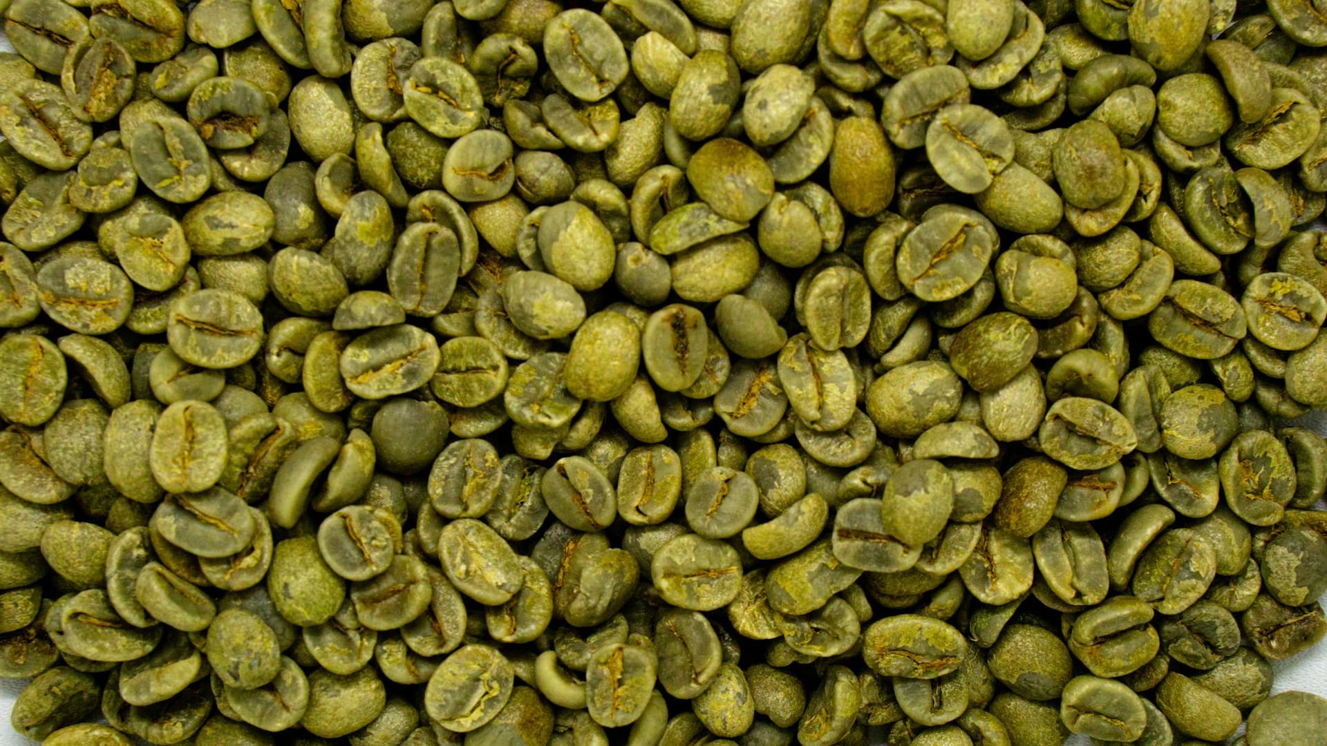 A dense layer of unroasted green coffee beans, each showing the centre cut, with visible variation in size and colour.