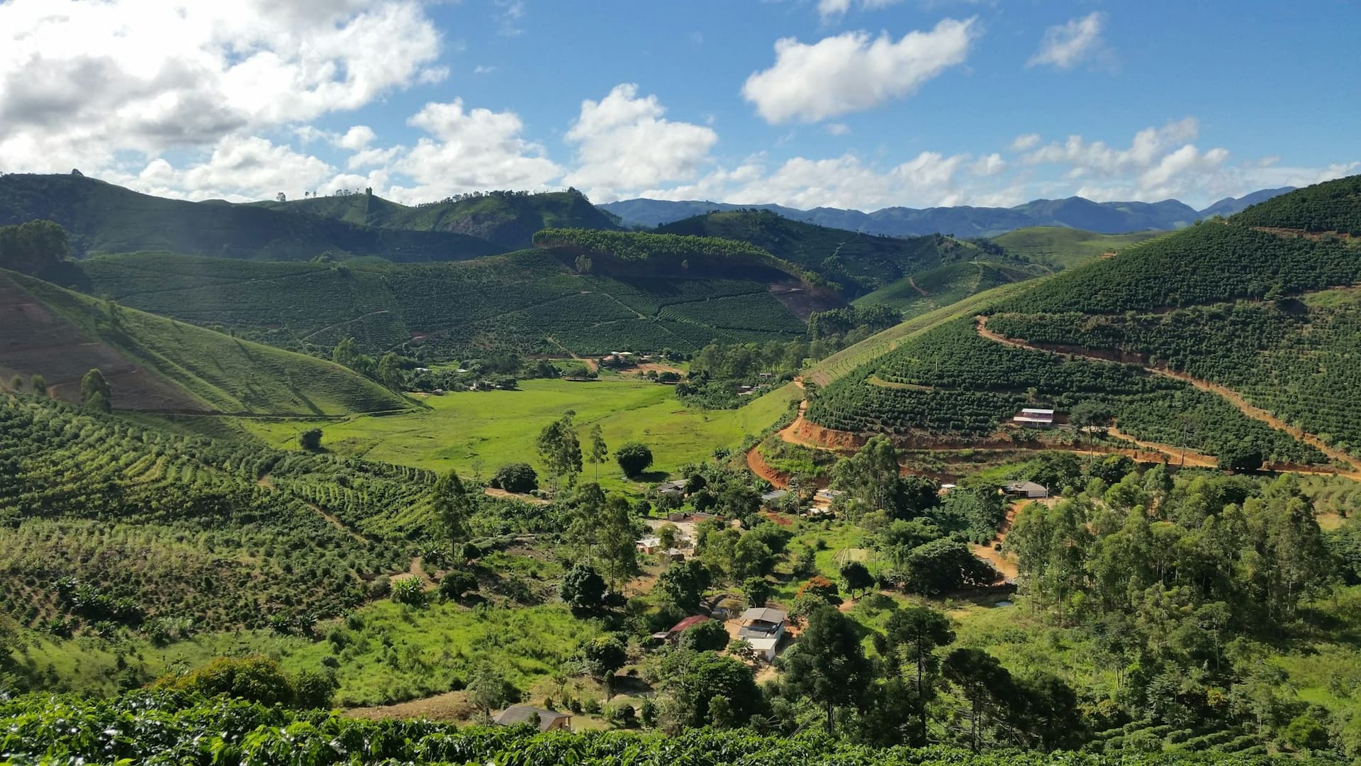 Coffee planted in contour rows across steep hillsides above a valley of smallholdings, with red-earth tracks cut into the slopes.