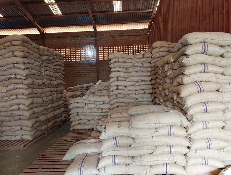 Jute coffee sacks stacked in bays on wooden dunnage in a brick warehouse, with ventilation blocks in the wall above.
