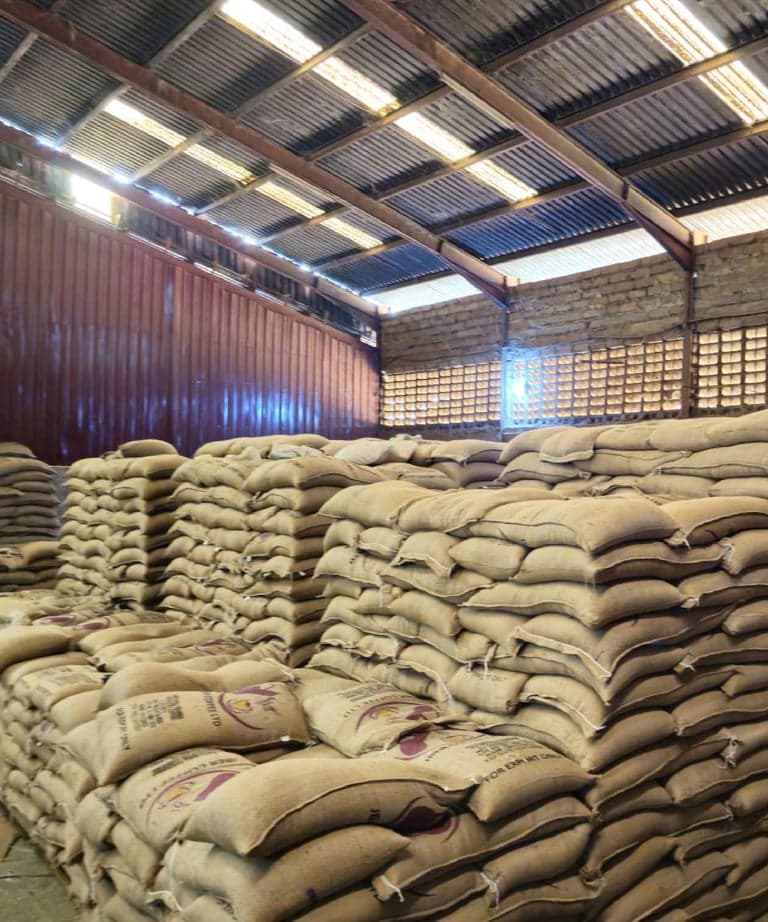 Jute coffee sacks stacked in courses to the roof of a warehouse, each stencilled with the Jber Coffee mark.