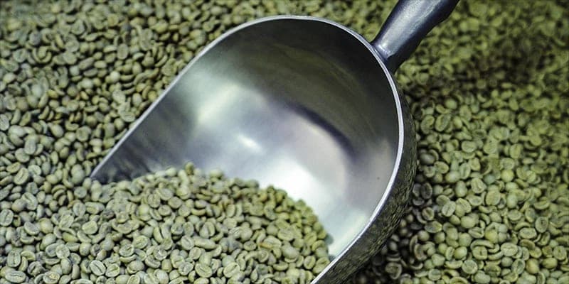 A metal scoop lifting green coffee beans from a bulk pile.