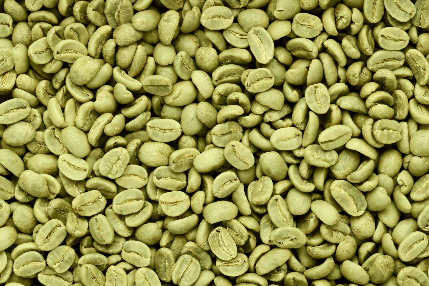 Washed green coffee beans in bulk.