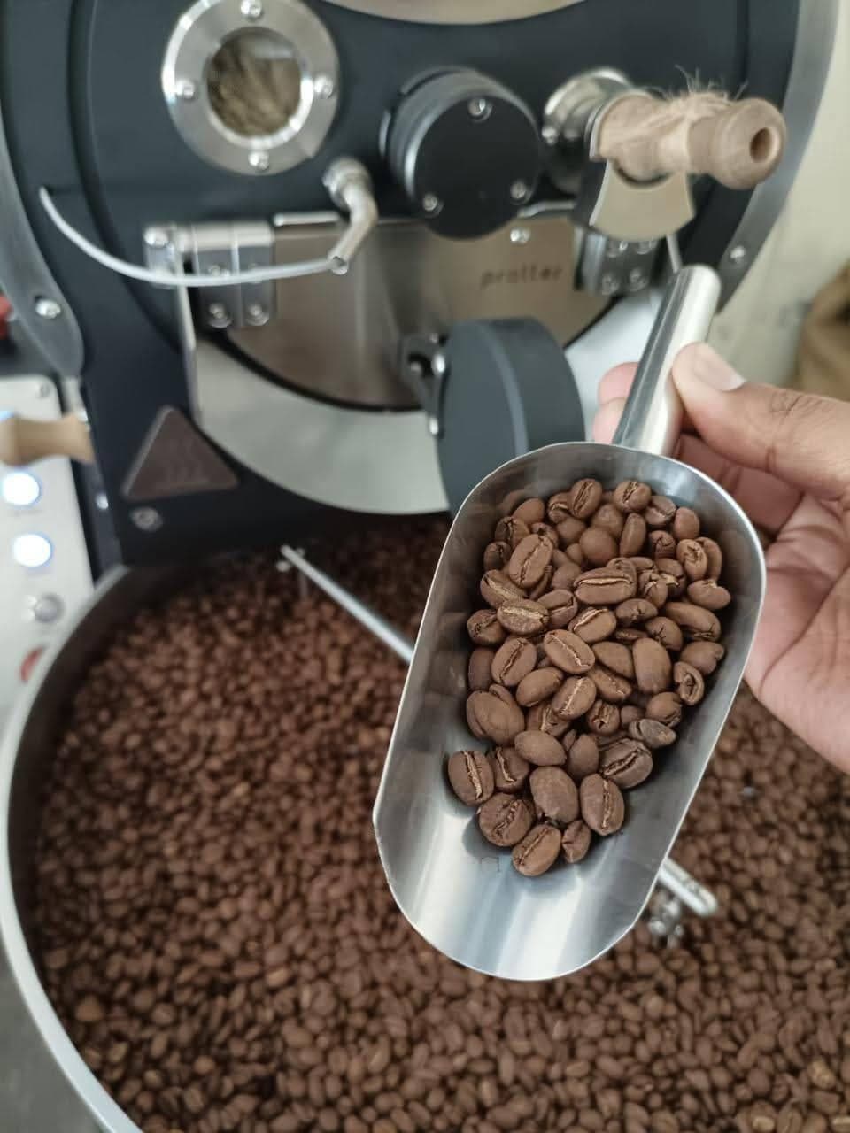 A sample scoop of freshly roasted coffee held above the cooling tray of a drum roaster.