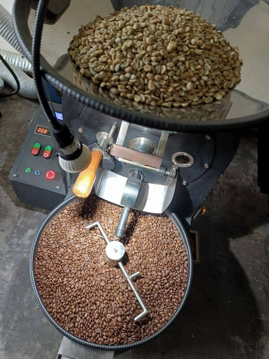A drum roaster mid-batch: green coffee waiting in the hopper above, roasted coffee turning in the cooling tray below.