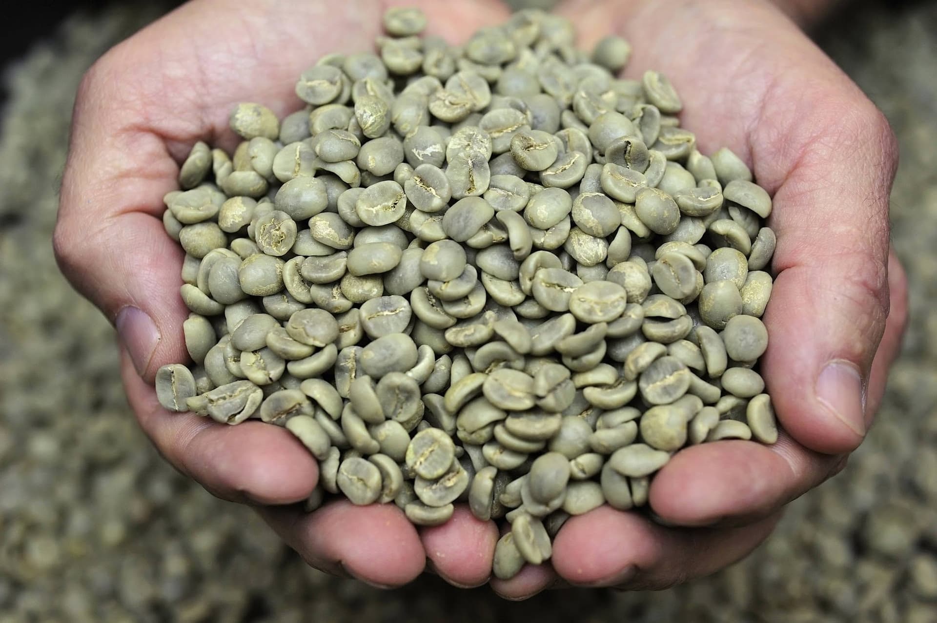 Natural-processed green coffee beans in bulk.