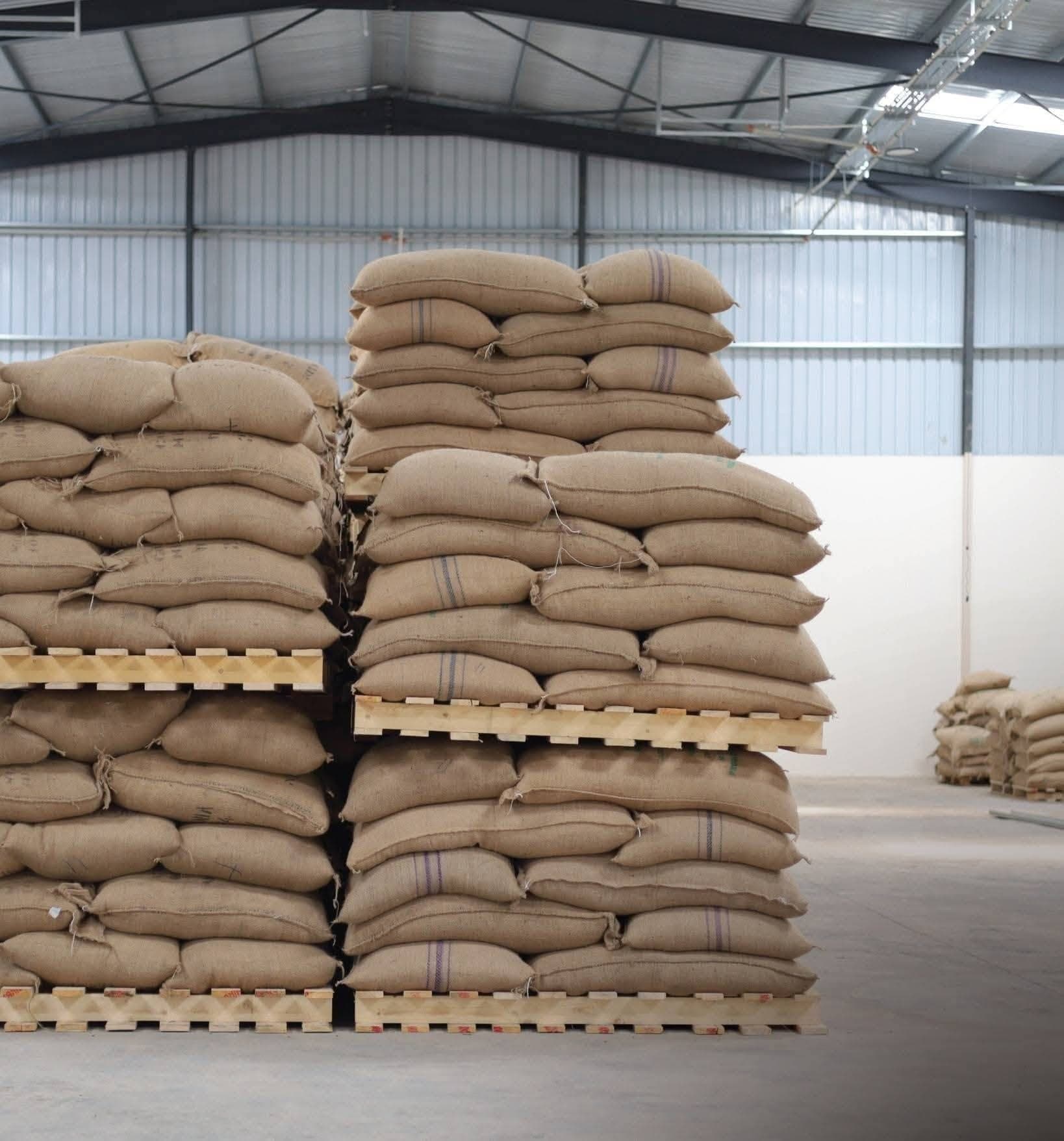Jute coffee sacks stacked on wooden pallets in a steel-framed warehouse.