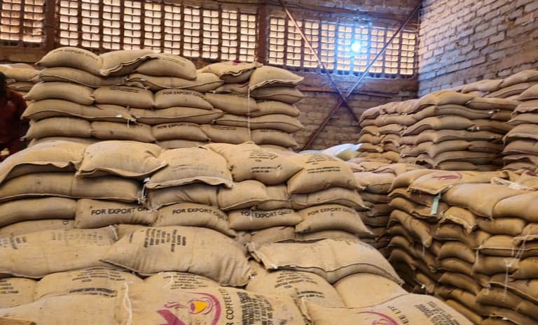 Bays of jute coffee sacks filling a warehouse, each sack stencilled FOR EXPORT ONLY.