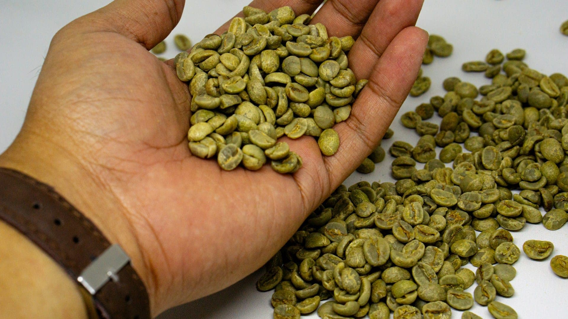 A hand holding green coffee beans above a sorted sample spread on a white surface.
