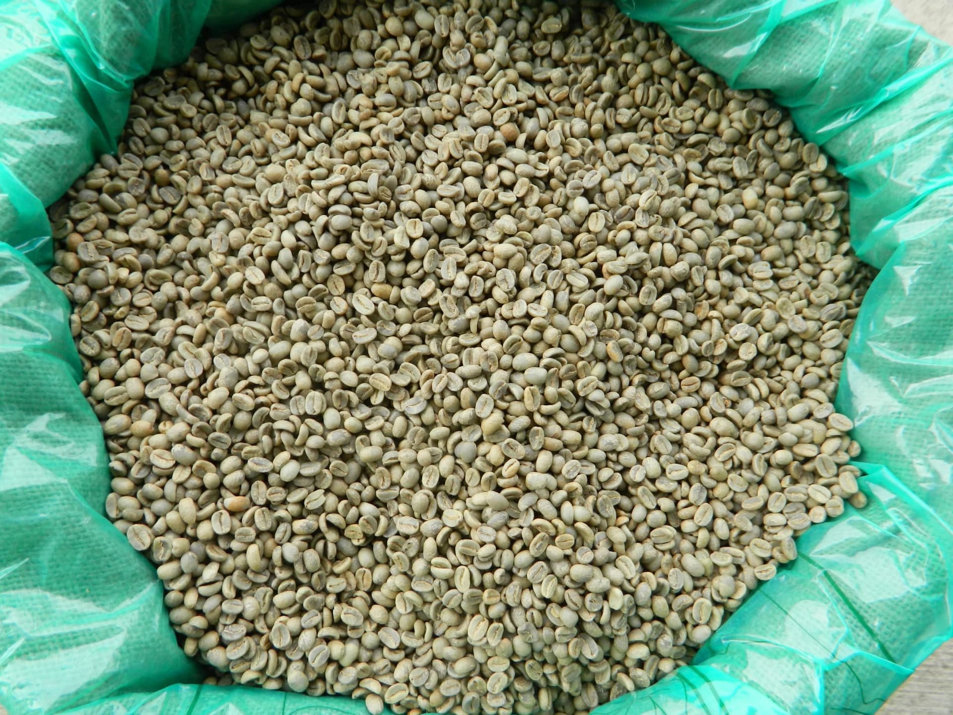 Washed green coffee beans in an open polypropylene bag, seen from above.